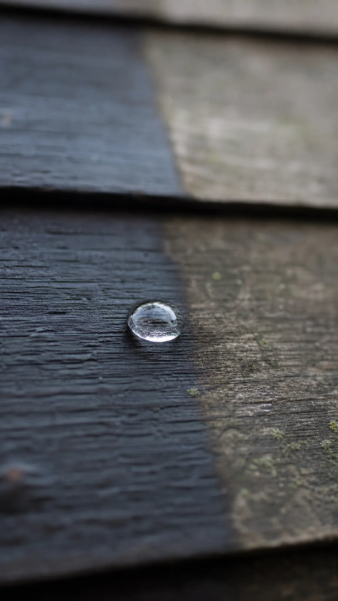 A water droplet on timber cladding, showing the contrast between a washed section and grime still to be cleaned.